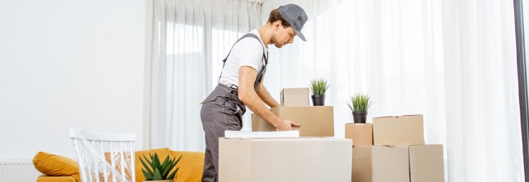 Custom Moving Solutions For Heavy Objects In Phoenix