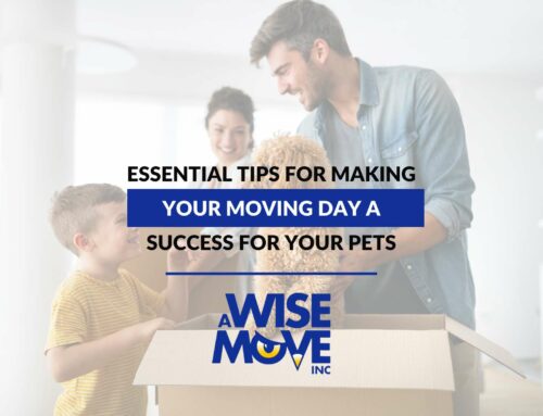 Essential Tips For Making Your Moving Day a Success For Your Pets